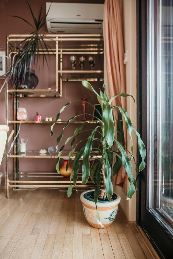 Apartments Ivana 德拉马利 外观 照片